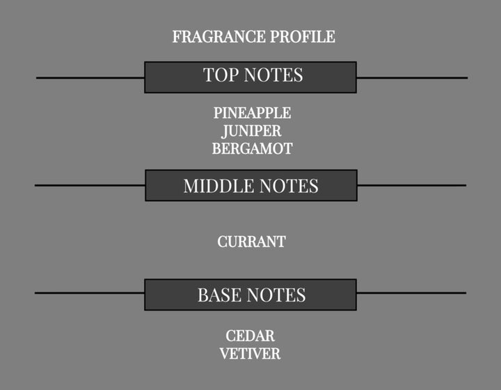 COMPARE TO SCENT OF PEACE FOR MEN FRAGRANCE BODY OIL