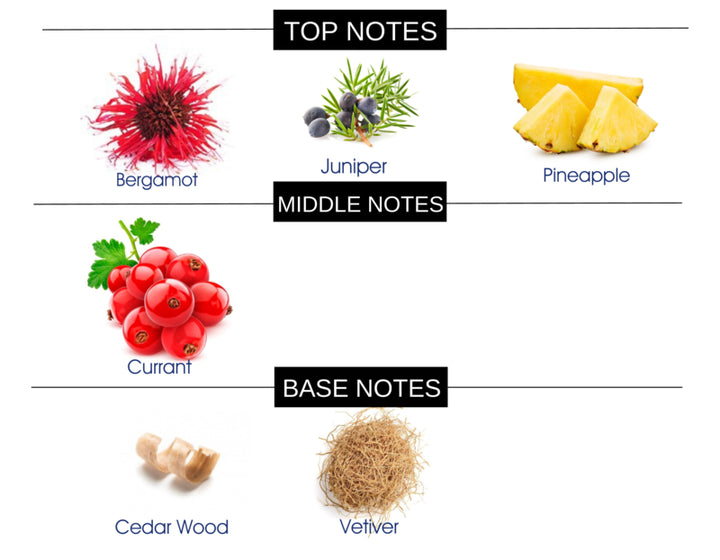 COMPARE TO SCENT OF PEACE FOR MEN FRAGRANCE BODY OIL