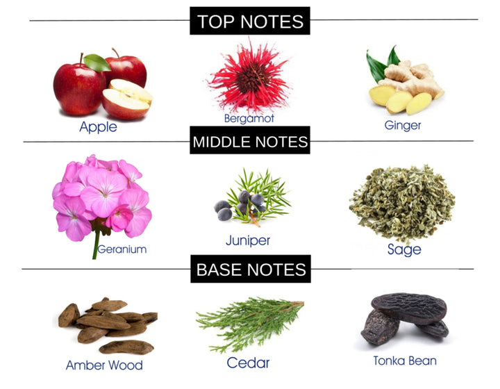 COMPARE TO Y FRAGRANCE BODY SPRAY