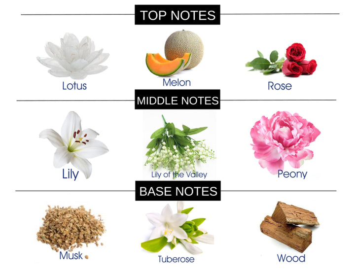 THE ORIENT COMPARE TO LEAU D ISSEY MIYAKE WOMEN FRAGRANCE BODY BUTTER