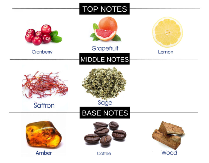 COMPARE TO POLO RED FRAGRANCE BODY OIL