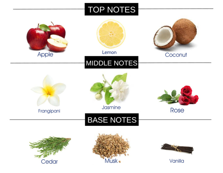 SKIES COMPARE TO BLUE SUN FRAGRANCE BODY SPRAY