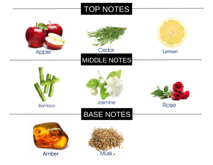 COMPARE TO DOLCE & GABBANA LIGHT BLUE WOMEN FRAGRANCE BODY BUTTER