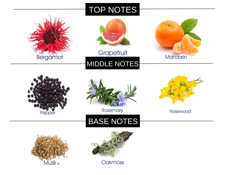 COMPARE TO DOLCE & GABBANA LIGHT BLUE MEN  FRAGRANCE BODY BUTTER