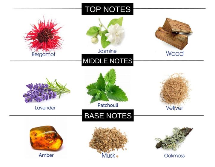 RENAISSANCE COMPARE TO ANUCCI FRAGRANCE BODY OIL