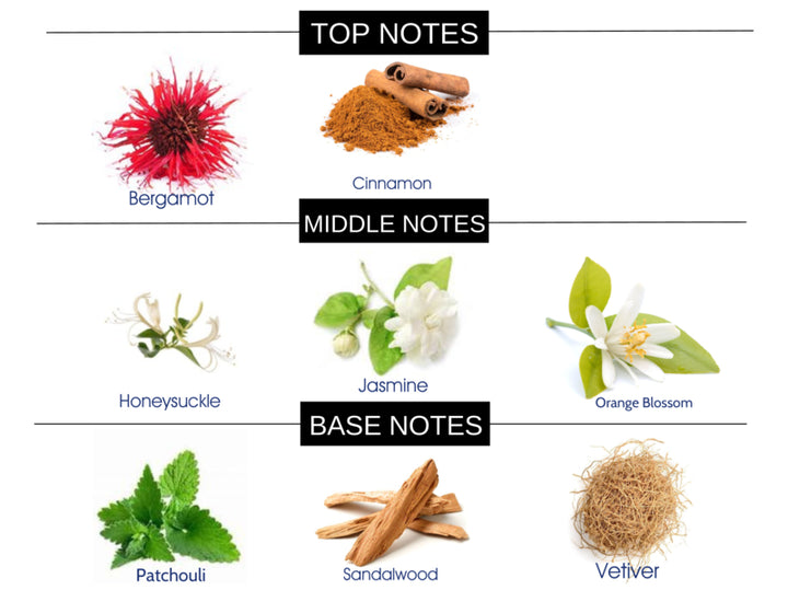 COMPARE TO JOOP FRAGRANCE BODY OIL