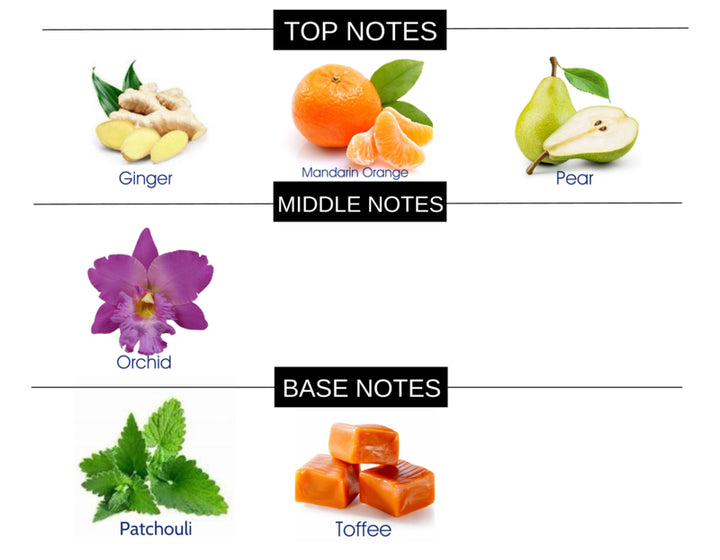 COMPARE TO JIMMY CHOO WOMEN FRAGRANCE BODY SPRAY