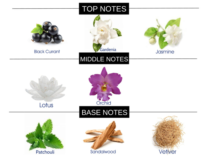 SWEET SENSUAL COMPARE TO BLACK ORCHID FRAGRANCE