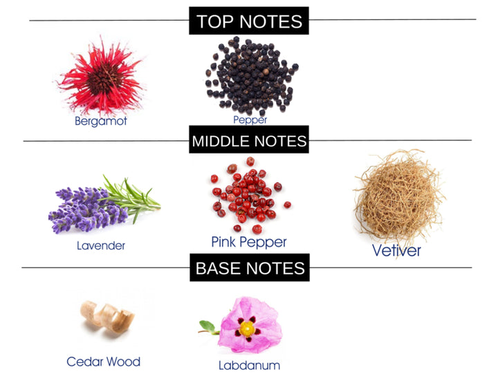 COMPARE TO SAUVAGE FRAGRANCE BODY OIL