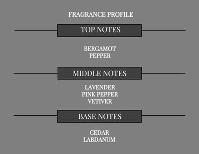 COMPARE TO SAUVAGE FRAGRANCE BODY BUTTER