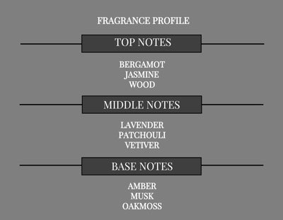 RENAISSANCE COMPARE TO ANUCCI FRAGRANCE BODY SPRAY