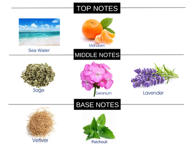 ACQUA II MEN FRAGRANCE HOME AROMA OIL