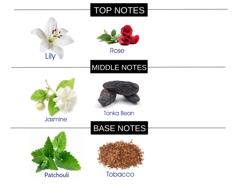 COMPARE TO DUBAI AMETHYST FRAGRANCE BODY OIL