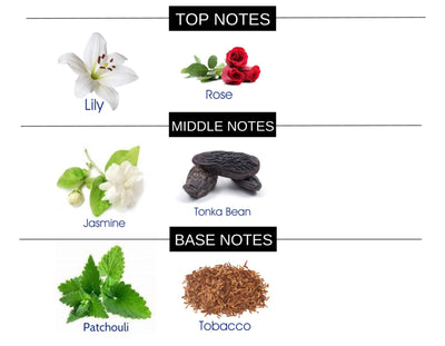 COMPARE TO DUBAI AMETHYST FRAGRANCE BODY OIL