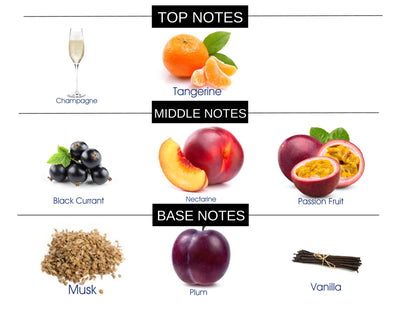 CHAMPAGNE DREAMS FRAGRANCE BODY OIL