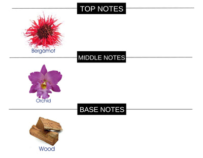 BITTER BERGAMOT COMPARED TO TEASE PLEASE FRAGRANCE BODY OIL