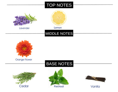 WOODY AROMATIC COMPARE TO GUILTY MEN FRAGRANCE BODY SPRAY