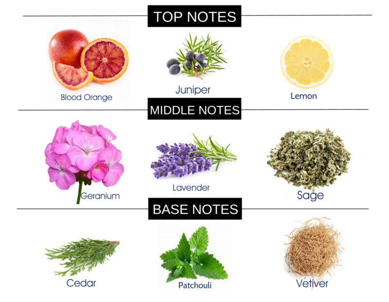 COMPARE TO D&G K FRAGRANCE BODY SPRAY