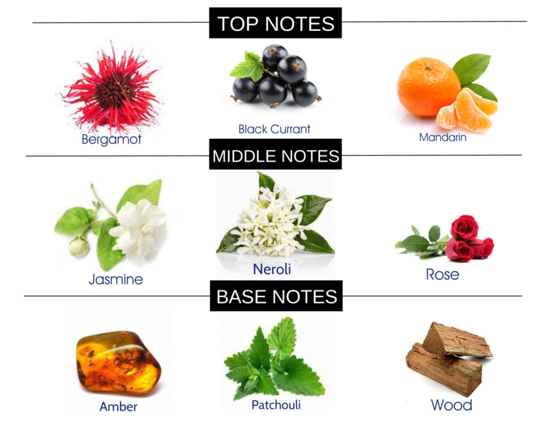 COMPARE TO SI FRAGRANCE BODY SPRAY