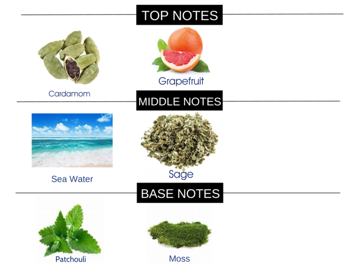 #17 FRAGRANCE HOME AROMA OIL