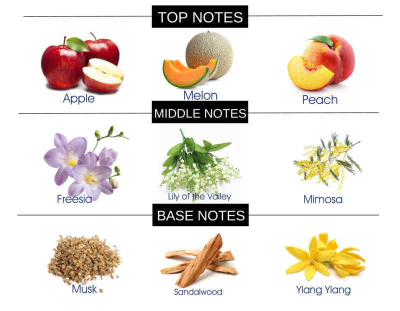 SPLASH OF MELON COMPARE TO PARIS HILTON WOMEN FRAGRANCE BODY OIL