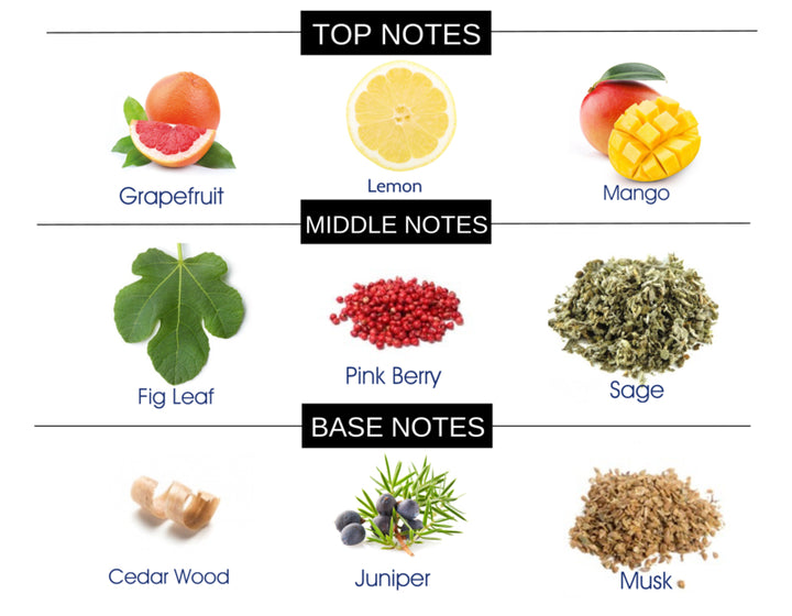 COMPARE TO PARIS HILTON MEN FRAGRANCE BODY SPRAY